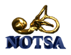 Notsa